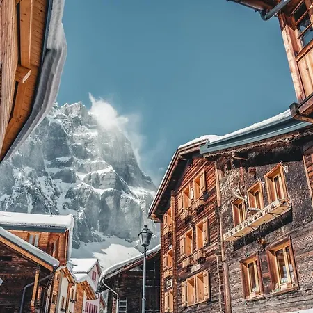 Swiss Chalet-studio In The Historical Apartment *