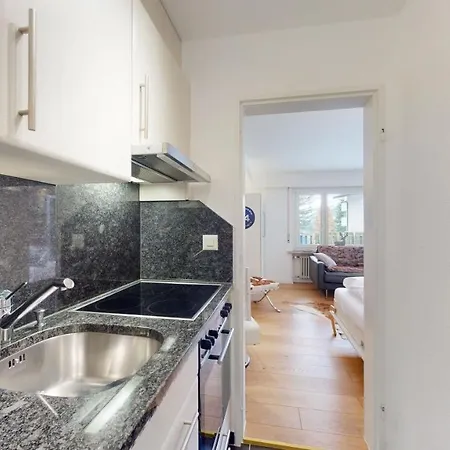 Swiss Chalet-studio In The Historical Apartment