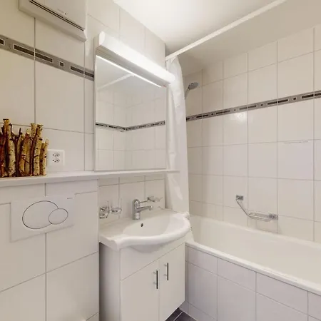 Swiss Chalet-studio In The Historical Apartment